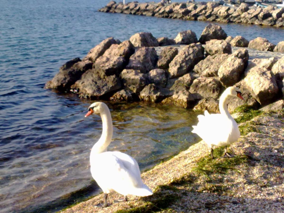 Residenza Al Sogno - On Lake Garda Cavaion Veronese Luaran gambar
